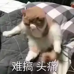  2名中国留学生回国确诊感染新冠变异病毒均持双阴性报告登机