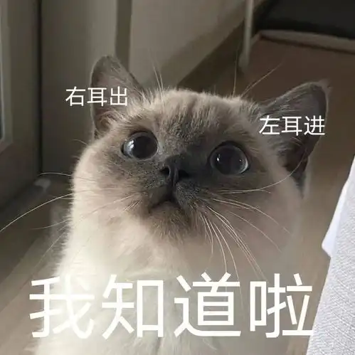  表情包跑图吗,姐妹