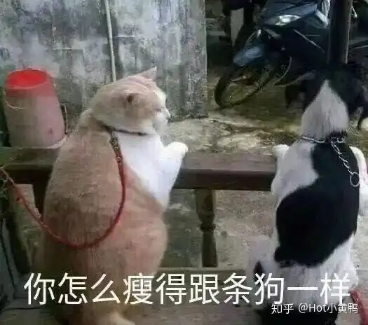  王者荣耀史上最不公平新版本红方开局输一半蓝方开局优势局,65能获胜