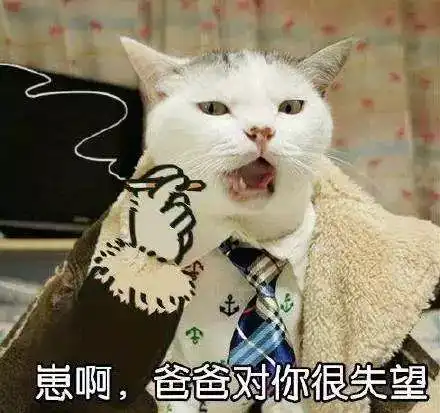  科技乱谈琴请放心你大爷永远是你大爷