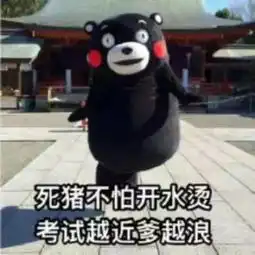 edg是什么意思表情包喷