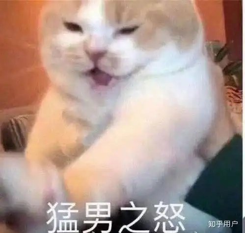  虞书欣和杨超越谁能更长远