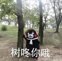 男女动图搞笑表情包国宝