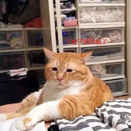 橘猫面对鲜鱼诱惑,舔着舌头,吞着口水了,好想咬一口,铲屎官就在一边,吃不了这鱼啊减肥 橘猫面对鲜鱼诱惑,舔着舌头,吞着口水了,好想咬一口,铲屎官就在一边,吃不了这鱼啊减肥