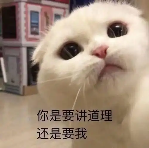 生日快乐恶搞表情包猫咪