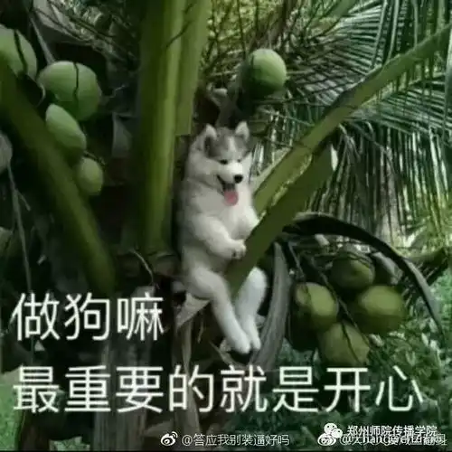  欸,你咋又换头像啦σ