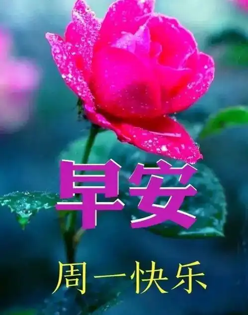 开心表情图片搞笑早上好