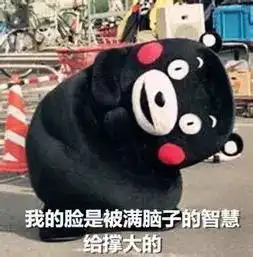  这是一场全苏州国际高中生的学术狂欢