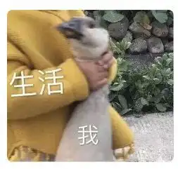  卖爆了你和张柏芝之间就差一个断货王vn防晒霜