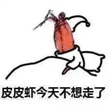  皮皮猪最新表情包下载皮皮猪我们走表情包下载高清无水印腾牛下载