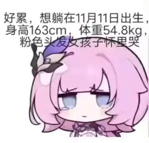 可莉竖中指表情包