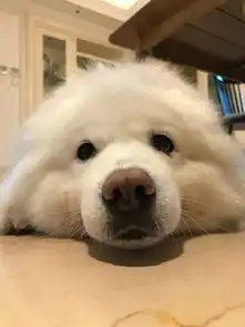 享受最后的晴天吧因为明天开始要下雨了 享受最后的晴天吧因为明天开始要下雨了