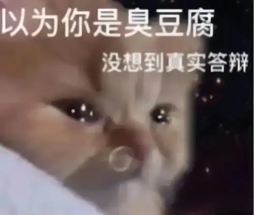  丰富一下好玩的表情包7.07