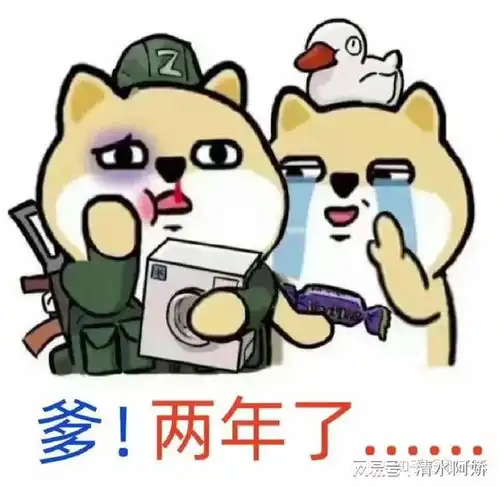  俄乌战争已经两年,何时结束依旧是遥遥无期,至今没有赢家