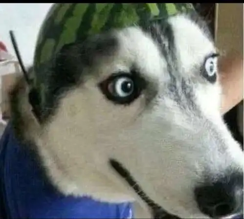  原来滴滴司机也有害怕的时候哈哈哈哈