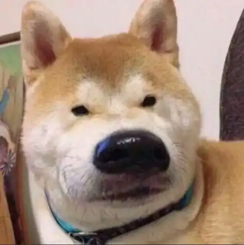 沙雕狗子表情包苏德战争