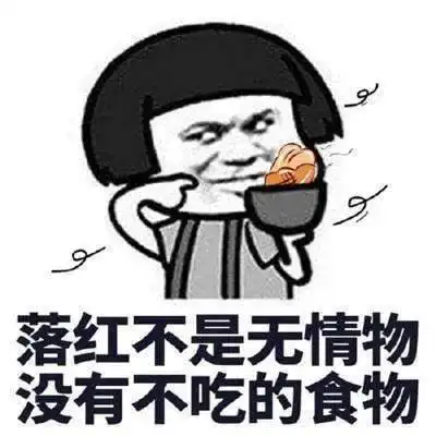  国庆活动抢先看萌宠美食娱乐,欢乐无限逛点十足