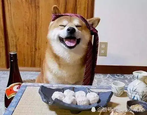  网红柴犬与油腻大叔只差一个睡姿的距离,还能认出它是你的欧巴吗