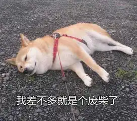吃完火锅拉肚子表情包柴
