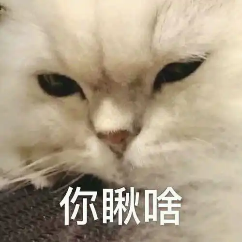  阴阳怪气表情包9