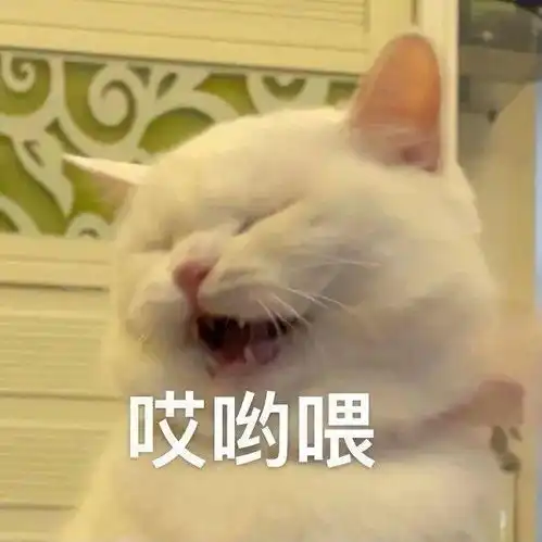  好看的头像壁纸集
