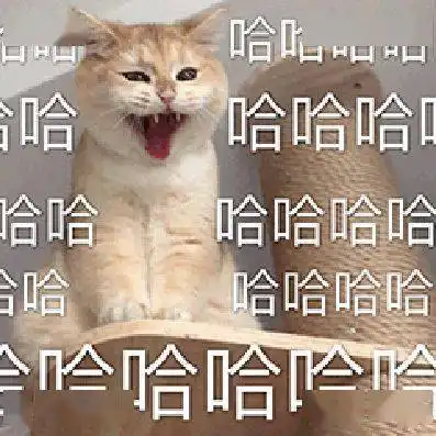 猫咪来教你如何跟男朋友撒娇 猫咪来教你如何跟男朋友撒娇