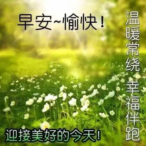  唯美暖心的早安问候语最温暖的早安心语