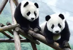 2016中国十大最具幸福感城市新鲜出炉,第一名竟然是... 2016中国十大最具幸福感城市新鲜出炉,第一名竟然是...