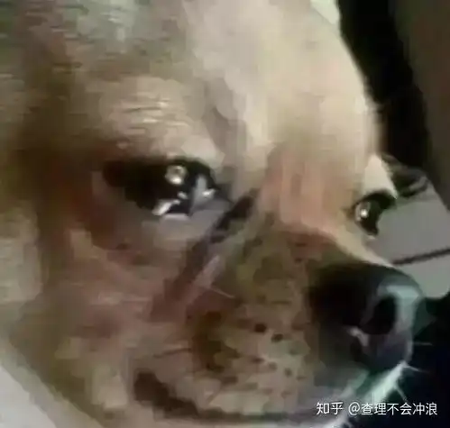  男朋友在工地上班,我应该怎么懂他,觉得他好辛苦,却不知道怎样关心他