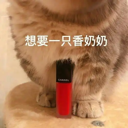  希望表情包高度紧张,小孩子才做选择,我全想要