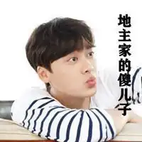 地主家的傻儿子表情包