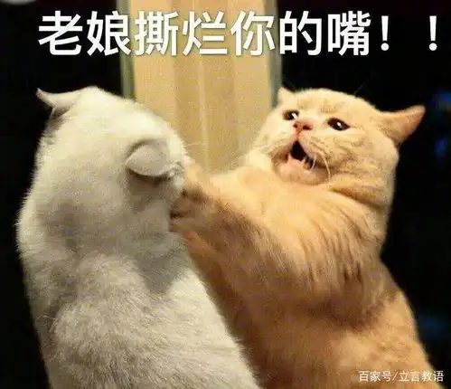  黑心校规日本学校公开检查学生内衣,学校只能穿白色