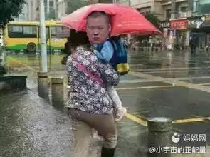 小岳岳的百态人生,是不是毫无违和感 小岳岳的百态人生,是不是毫无违和感