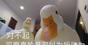  李敏镐李东旭算啥我要是裴秀智我就把南韩娱乐圈都睡一遍