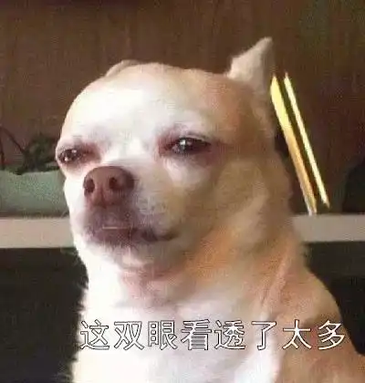  高能放送如何解决自驾出行路上的绊脚石沪牌