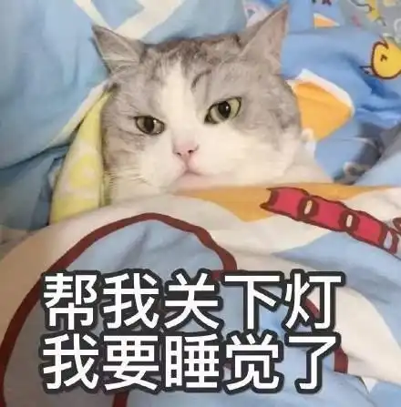 担心表情包猫咪多多