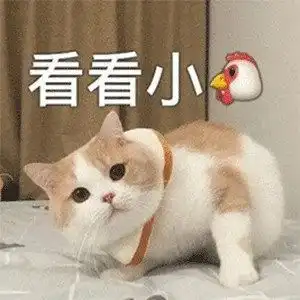  你的小宝贝饿了,可爱搞笑表情包图片