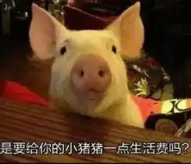 苏喂苏喂苏喂表情包猪肾