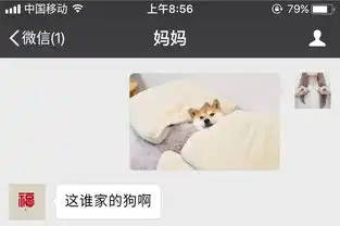 你敢发和父母的聊天记录吗 你敢发和父母的聊天记录吗