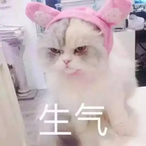  男人进厨房,脊背后发凉哈哈哈哈哈哈哈哈