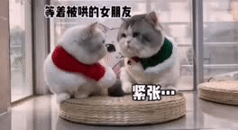  表情包丨招摇搞笑表情包动图gif丨快手表情包图片