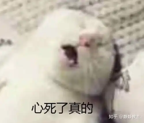 沙雕狗子表情包放假了