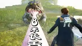  我的神风特攻队生涯