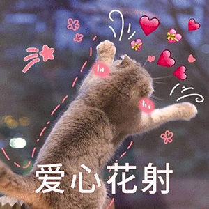  沙雕表情包你外面是不是有别的狗子了