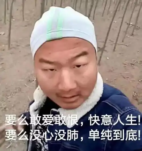  搞笑热门表情包,了解一下
