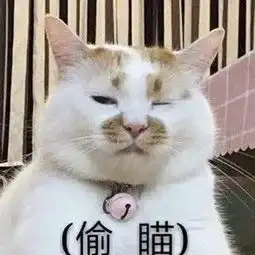  沙雕表情包没一个能打的