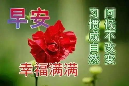  2021最新最漂亮早上好问候动态图片最美早安问候表情包可爱