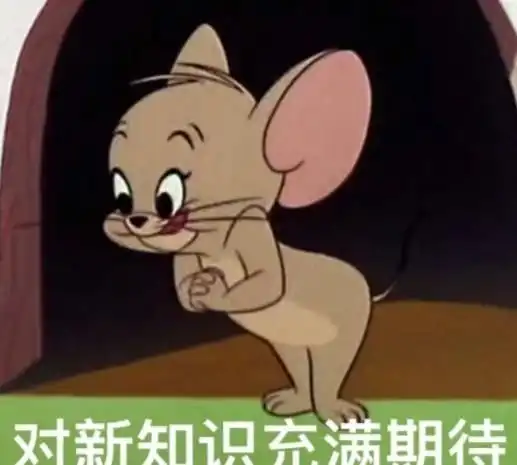  自考冲刺四大痛点,80的人都在经历