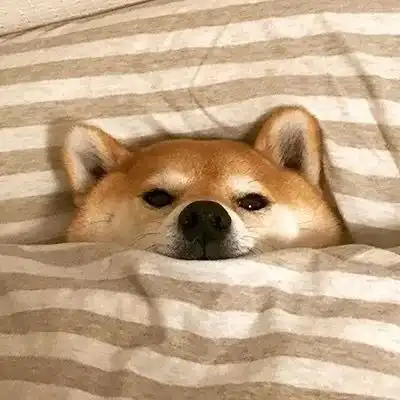  世界一级棒壁纸头像表情only4u