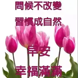  清晨早安问候动态表情图片,最美早上好祝福动态图
